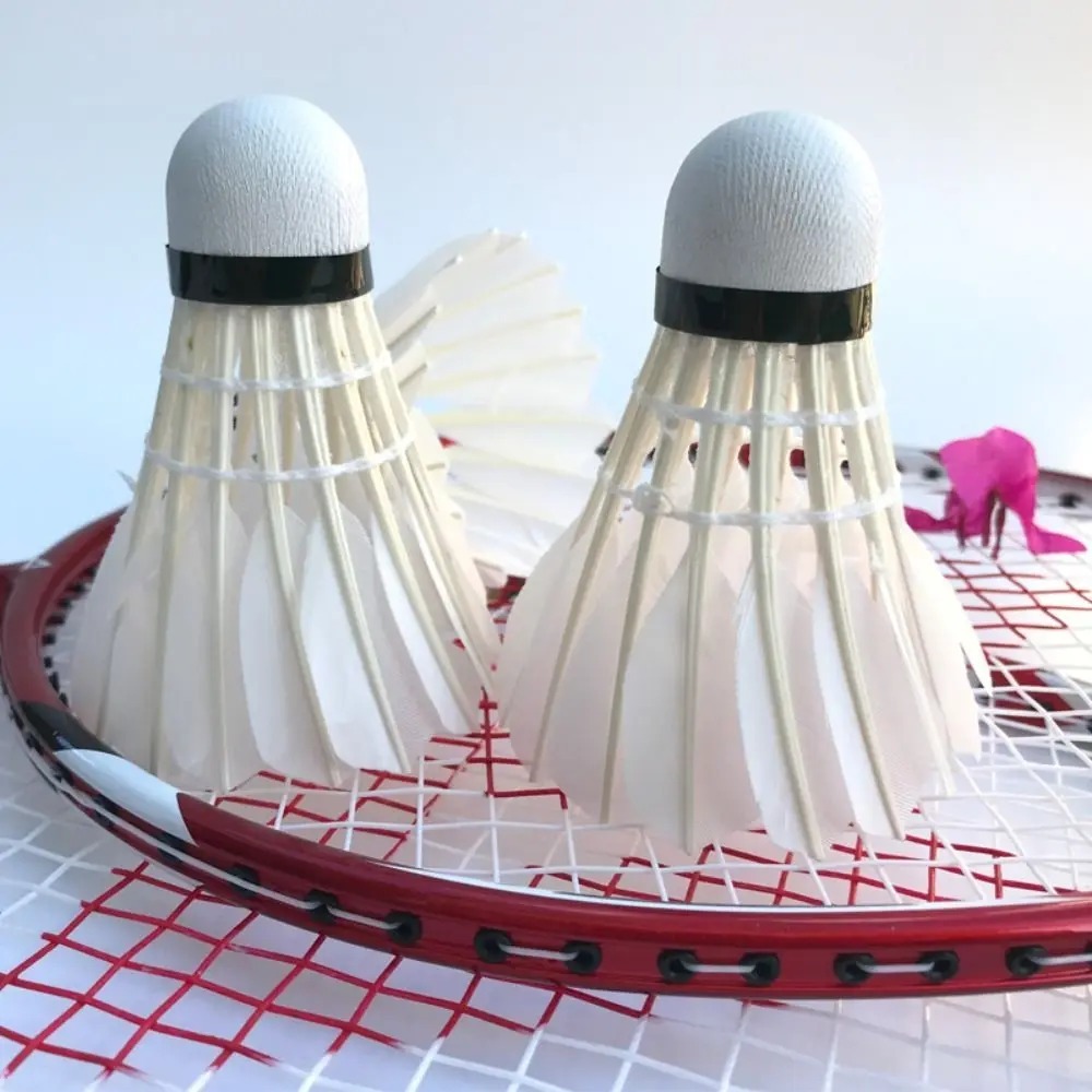 3/6/12 Stück Badminton-Federbä – Badminton League Bewertung und Preis